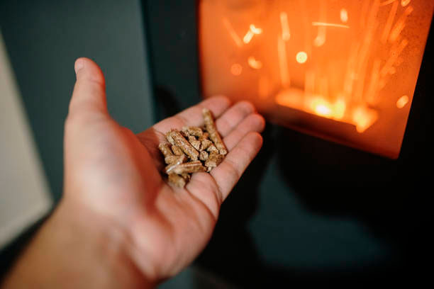 mify-o-pelletakh-test.bioenergybank.com.ua-3